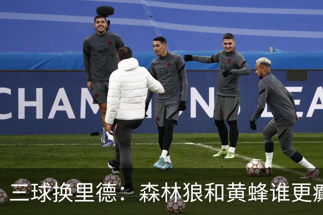 三球换里德：森林狼和黄蜂谁更癫？！