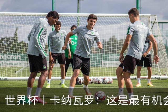 世界杯丨卡纳瓦罗：这是最有机会拿下的一场