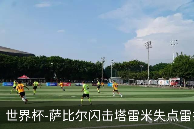世界杯-萨比尔闪击塔雷米失点雷扎伊扬扳平 半场埃及1-1伊朗